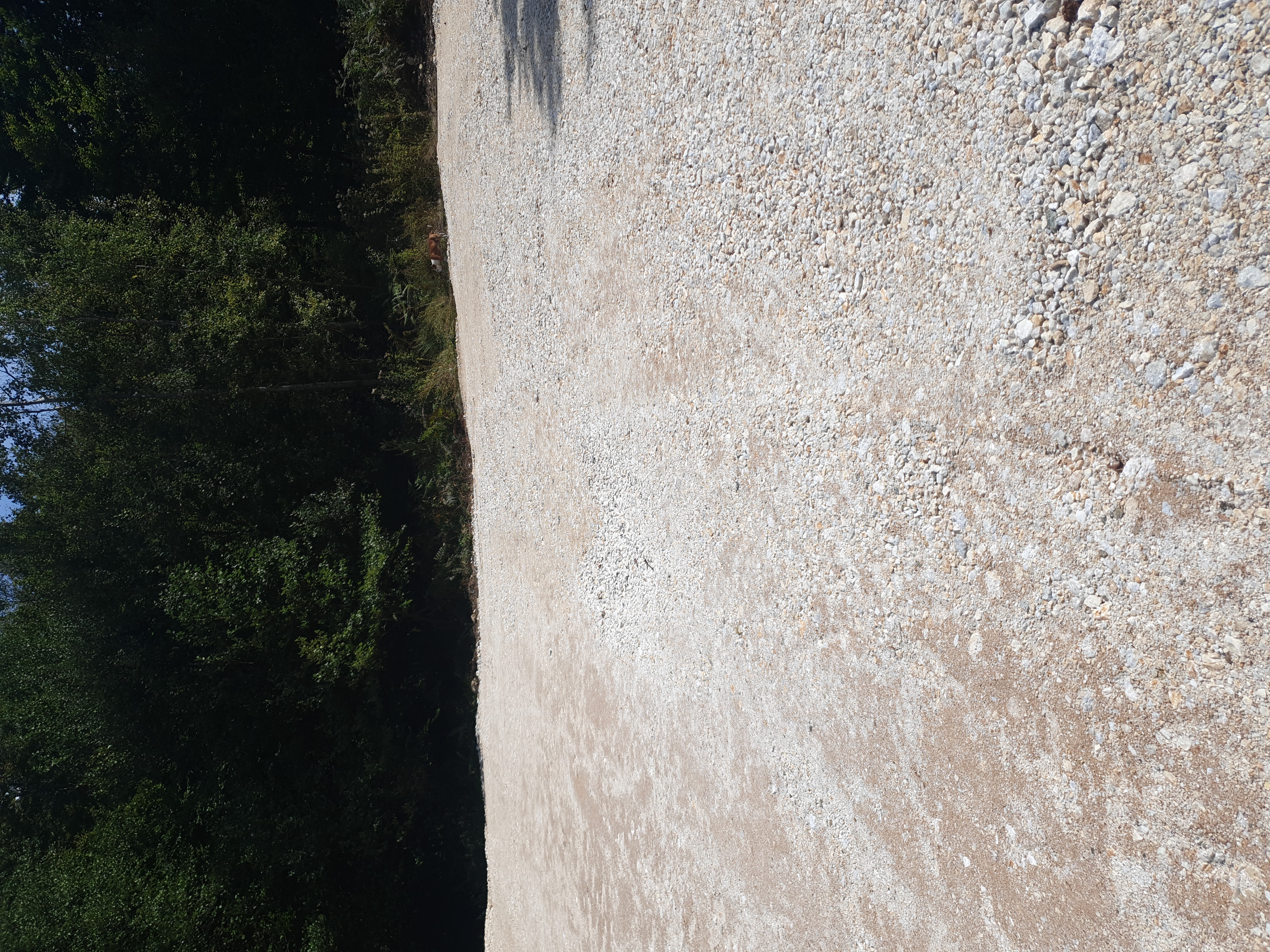 Nature Damage and Other Incidents #001