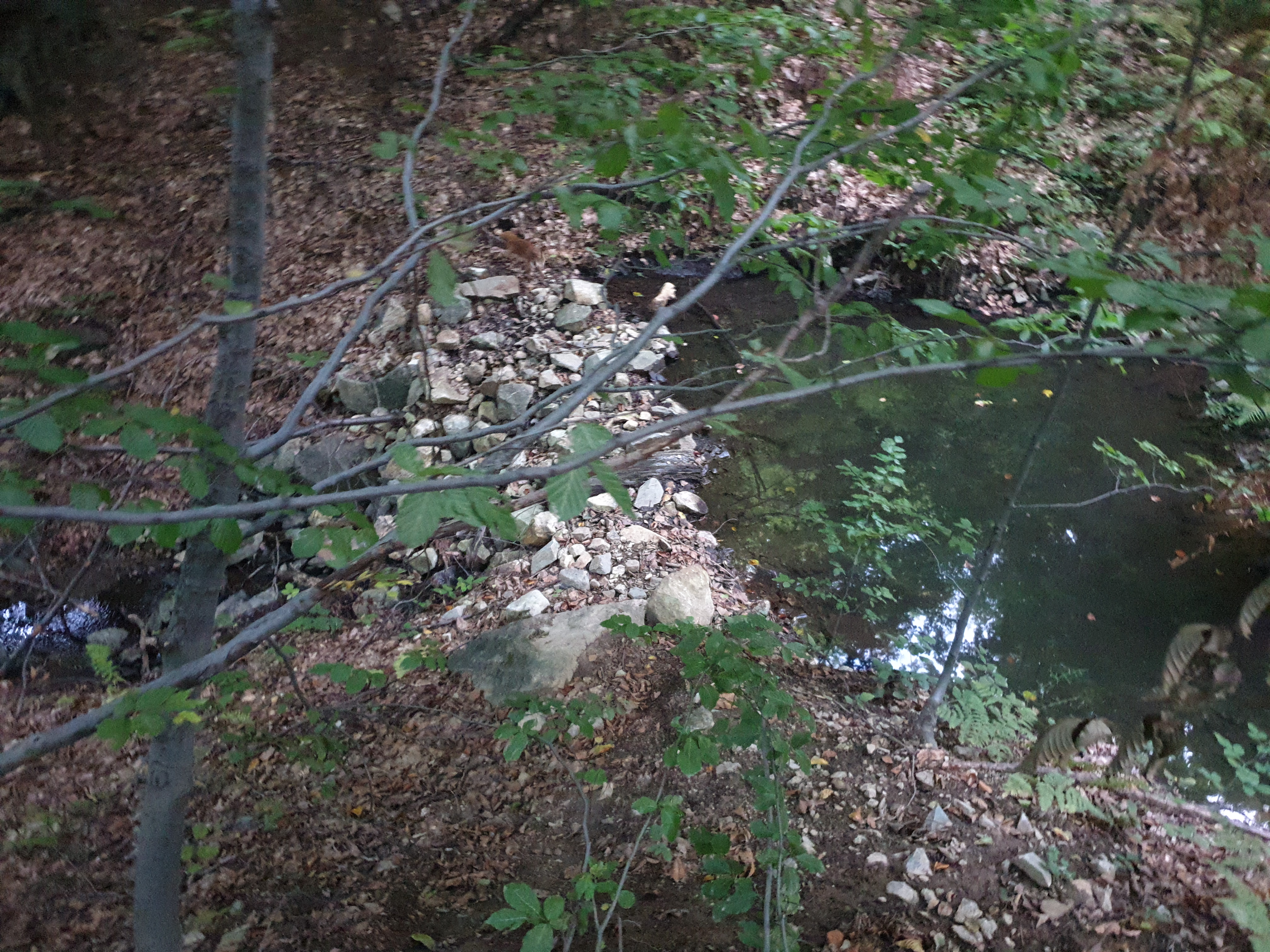 Nature Damage and Other Incidents #016
