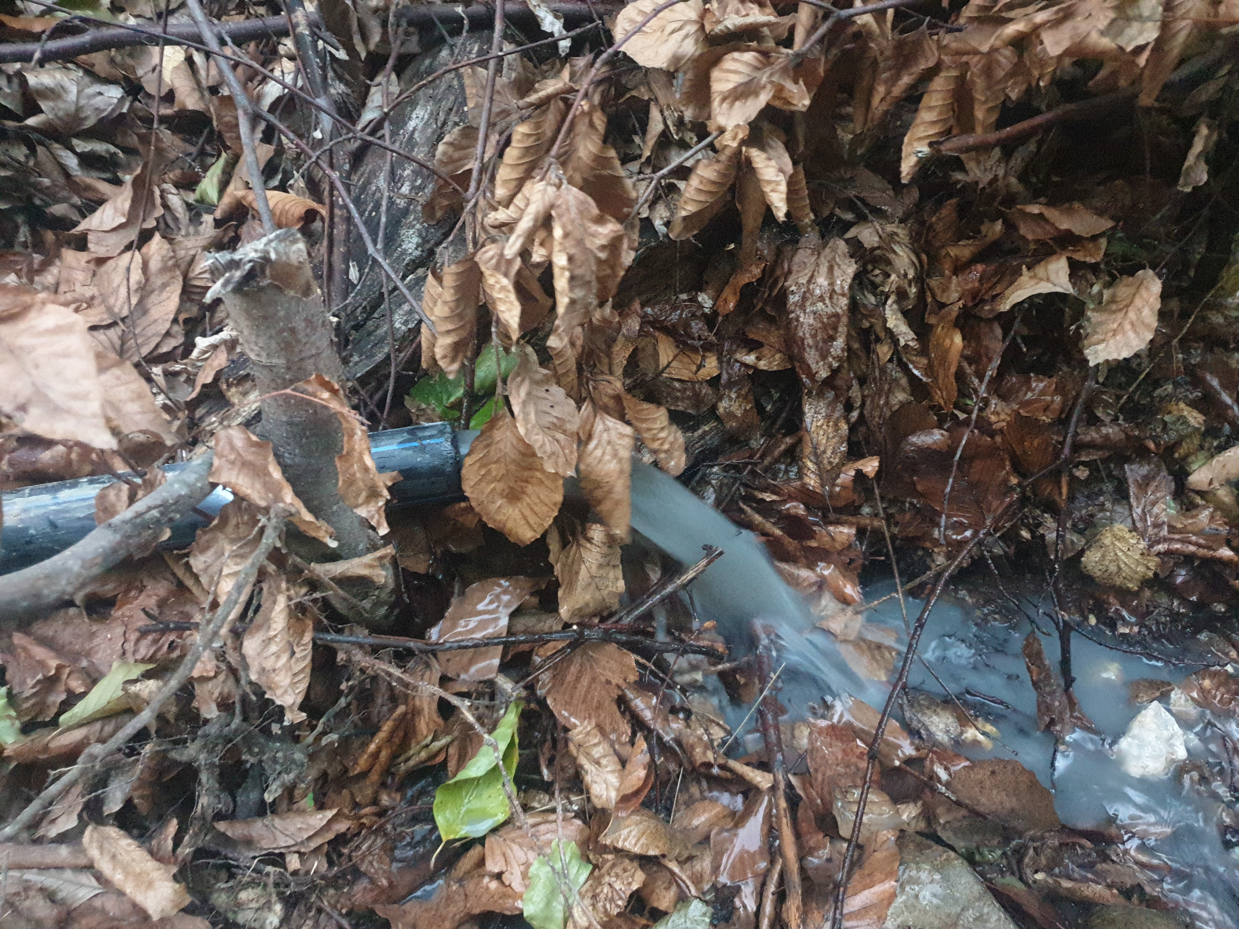 Nature Damage and Other Incidents #023